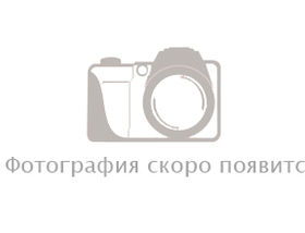 06 этаж - 491 м<sup>2</sup>